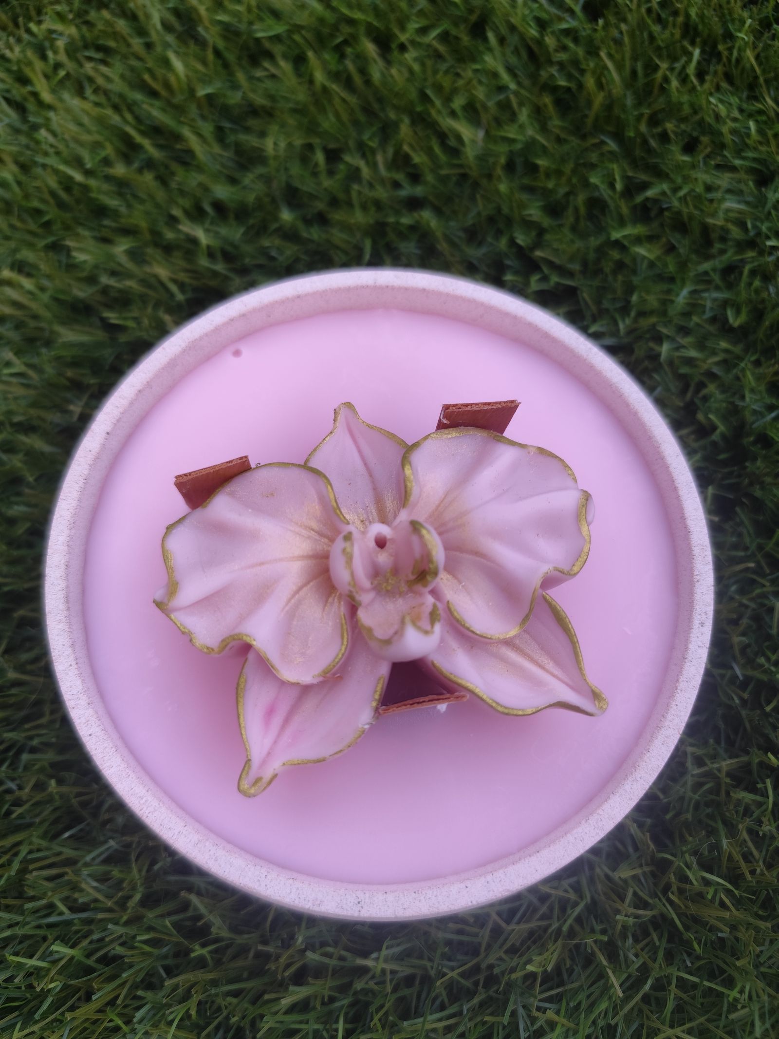 Orchid Glow