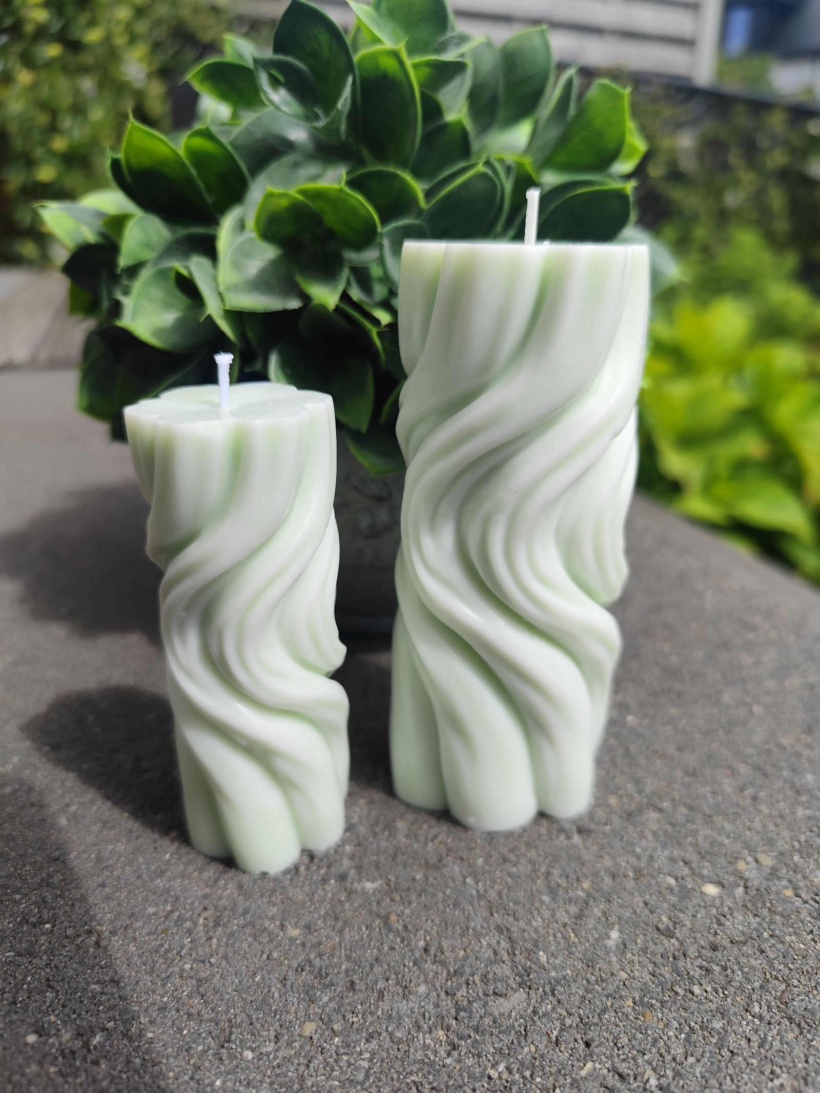 Duo Forest Glow